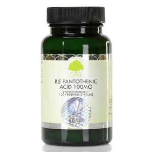 Vitamin B5 Pantothenic Acid 100mg - 120 Capsules