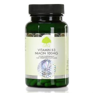 Vitamin B3 Niacin 100mg - 120 Capsules