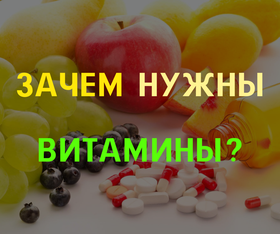 Основные источники витаминов
