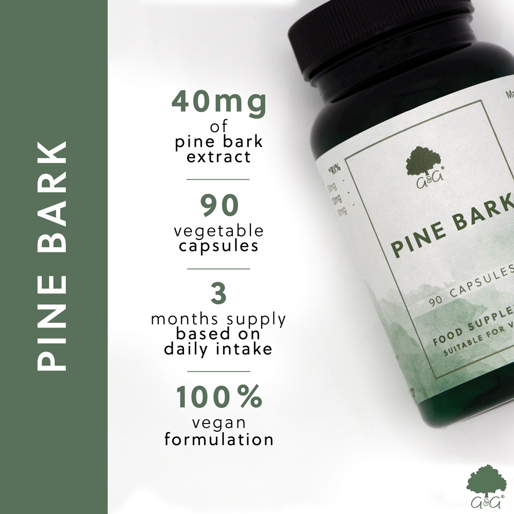 Pine Bark - SCOARĂ DE PIN - 90 de capsule vegane - imagine 2