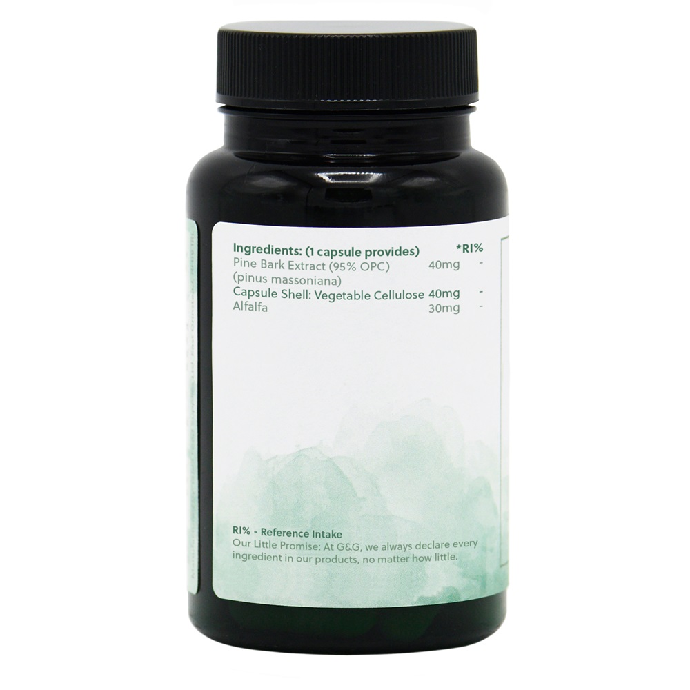 Pine Bark - SCOARĂ DE PIN - 90 de capsule vegane - imagine 3