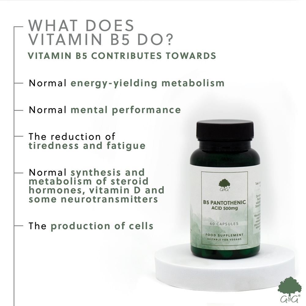 B5 (ПАНТОТЕНОВАЯ КИСЛОТА) 500 МГ - VITAMIN B5 - 60 Капсул — изображение 3